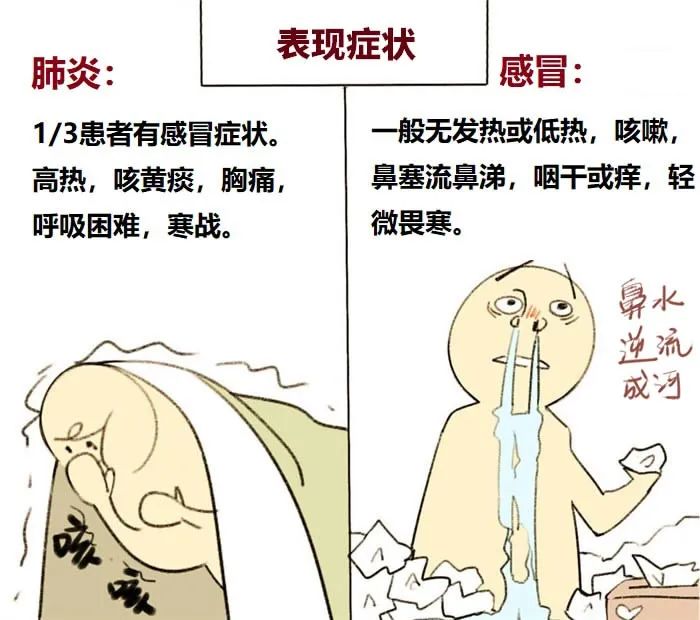 鲁威渔医号丨肺“肿了”怎么办？