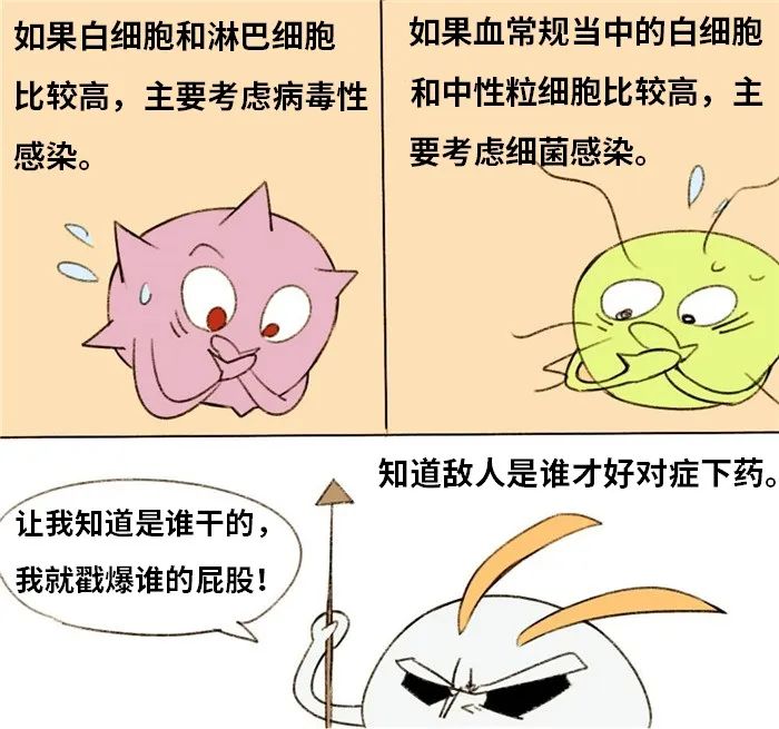 鲁威渔医号丨肺“肿了”怎么办？