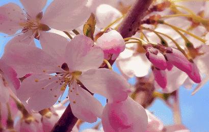 伪素颜女神懒人必备素颜霜,真心不错的一款懒人素颜霜