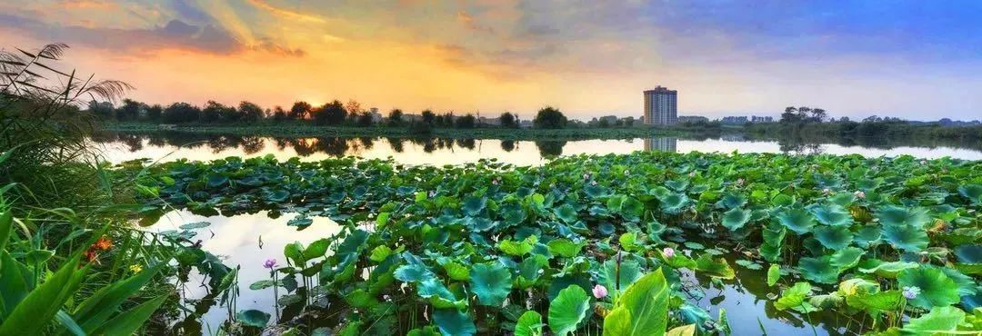 潮玩展昆明,潮玩云南