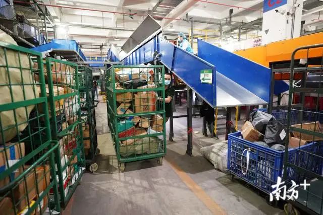 双十一堆成山的快递如何派件？东莞快递人这样做！