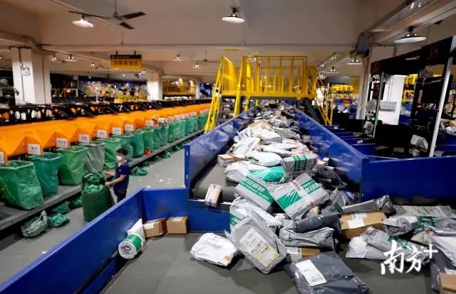 双十一堆成山的快递如何派件？东莞快递人这样做！