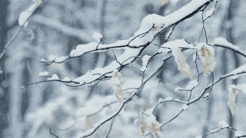 延边滑雪东北已率先进入雪季,延边开启滑雪季快来嗨翻冬天