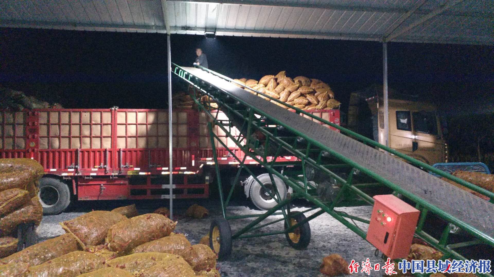 长治10万亩辣椒种植基地,长治屯留辣椒