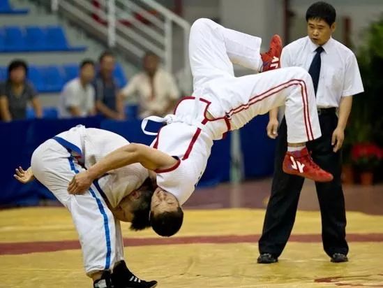 18涓綋鑲茶仈鐩熷垎鍒槸鍝簺,鏂版触浣撹偛
