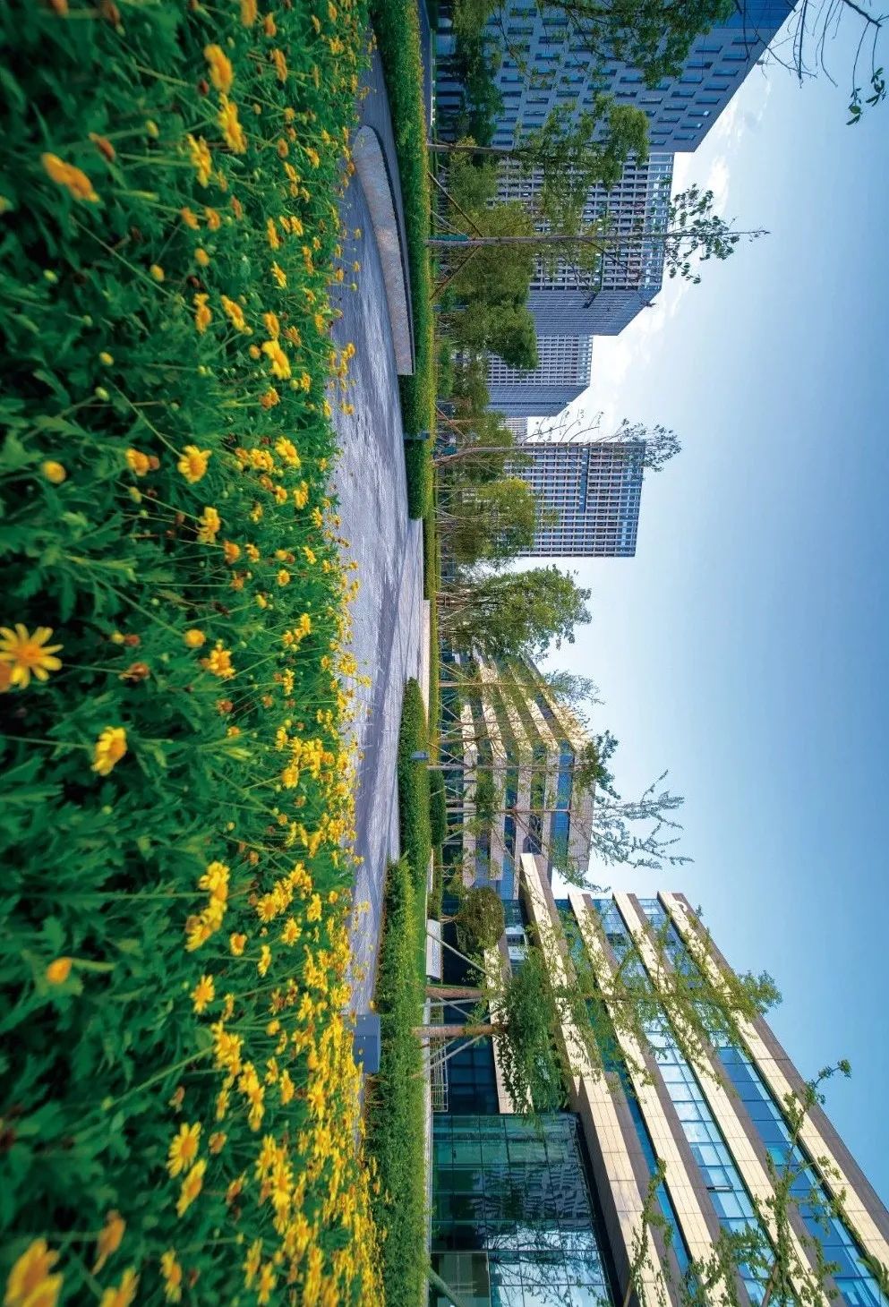 你好，这里是中和