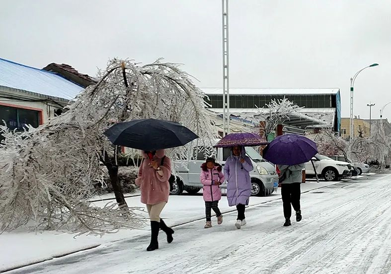 延边滑雪东北已率先进入雪季,延边开启滑雪季快来嗨翻冬天