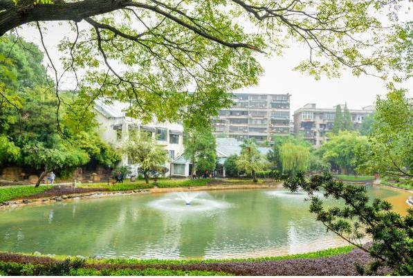 建设“精美长沙”,雨花人在向前冲