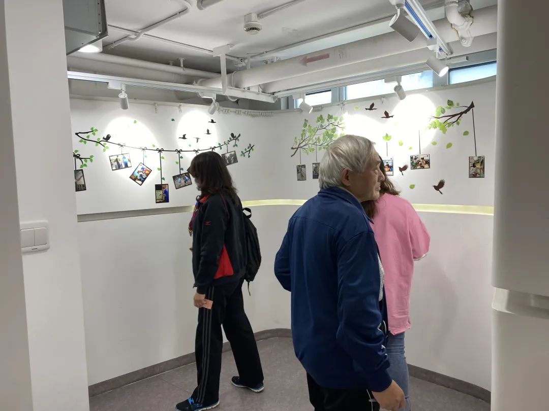 寮樻壃閬撳痉椋庡皻鍊″鍨冨溇鍒嗙被,涓婃捣琛楅亾鐢熸椿鏃ヨ