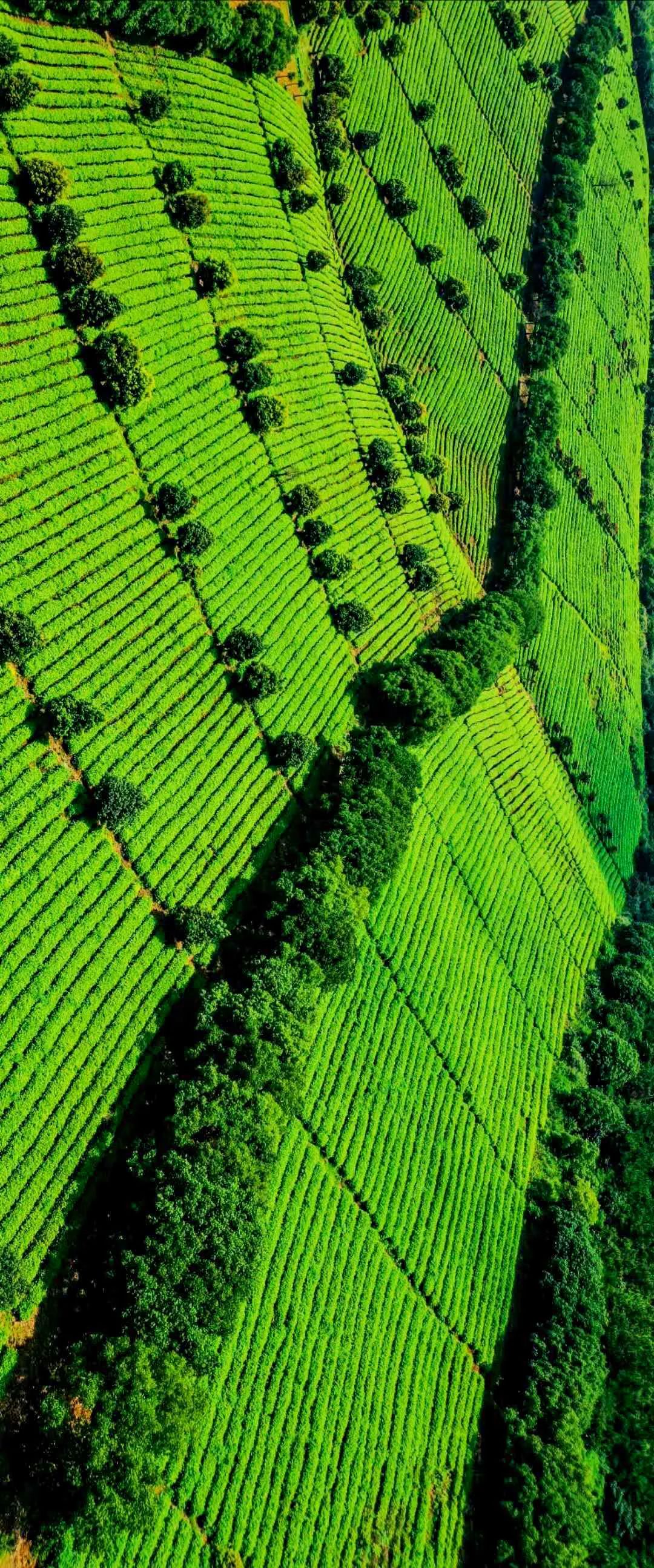江苏溧阳旅游胜地在哪里,江苏溧阳哪里好玩