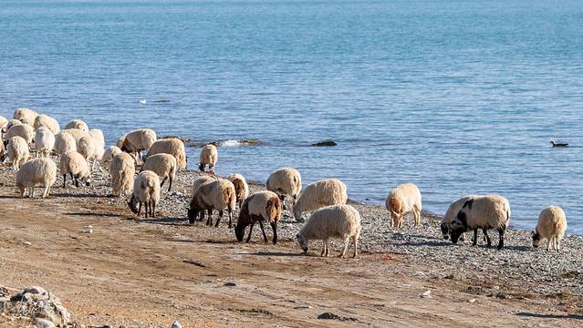 青海玉树旅游攻略,青海南大门三江源头