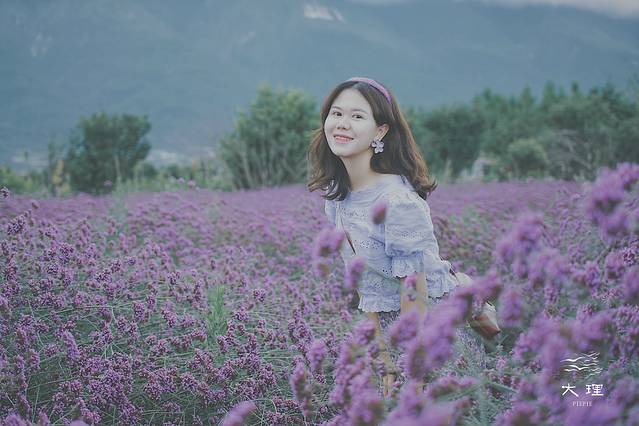 长沙自驾去大理多少钱,生活需要惊喜自驾直奔大理