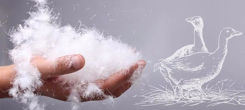 一件羽绒服，治好了我的“身材焦虑”