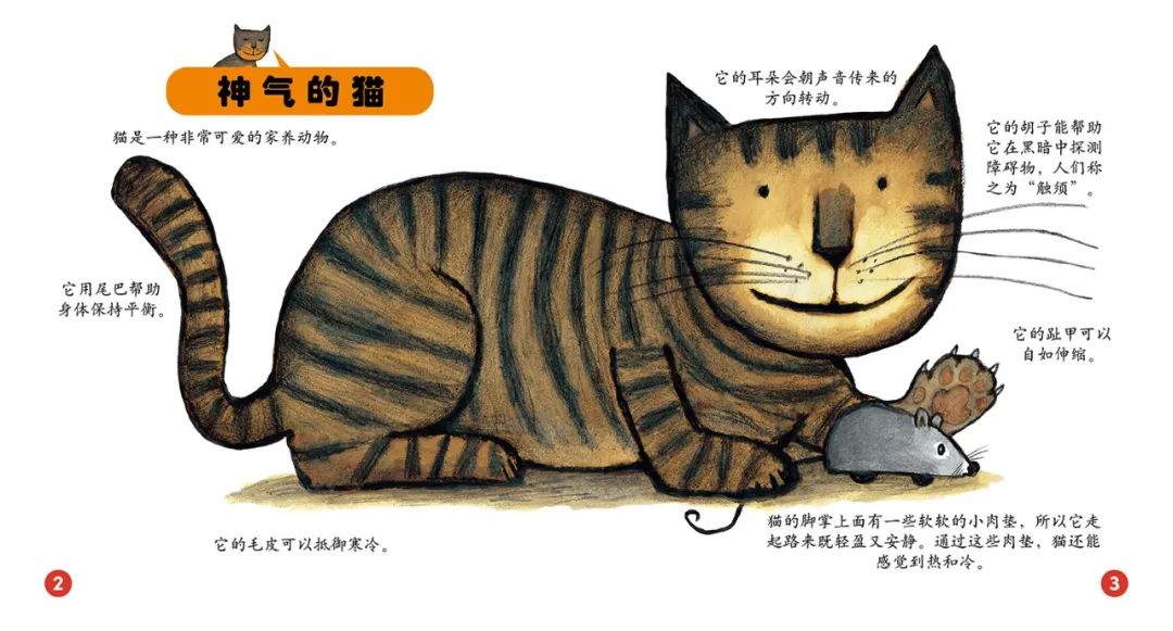 绘本立体玩教具,绘本教具