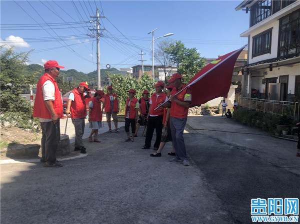 金花茶创新创业,金花茶产业铺就乡村振兴幸福路