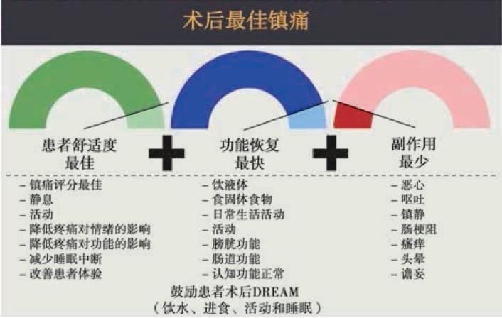 ASA年会知识更新｜加速康复外科：原则、实践与实施