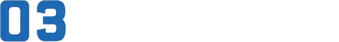 日本恶女电影解说,日本第一黑帮之女