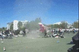 林子大了什么鸟都有下一句,林子大了啥鸟都有歌曲