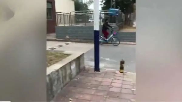 大妈霸占停车区后续,大妈霸占共享单车报警后续