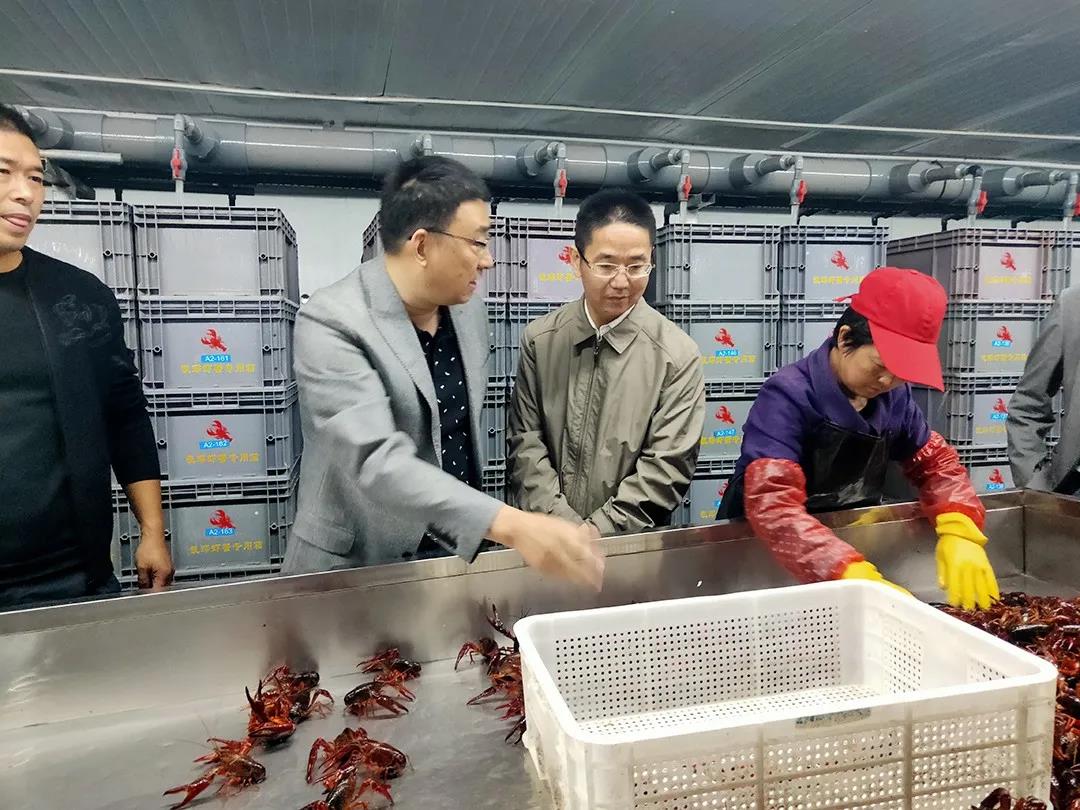 小龙虾离开水域能活吗,小龙虾离开水能活多少时间