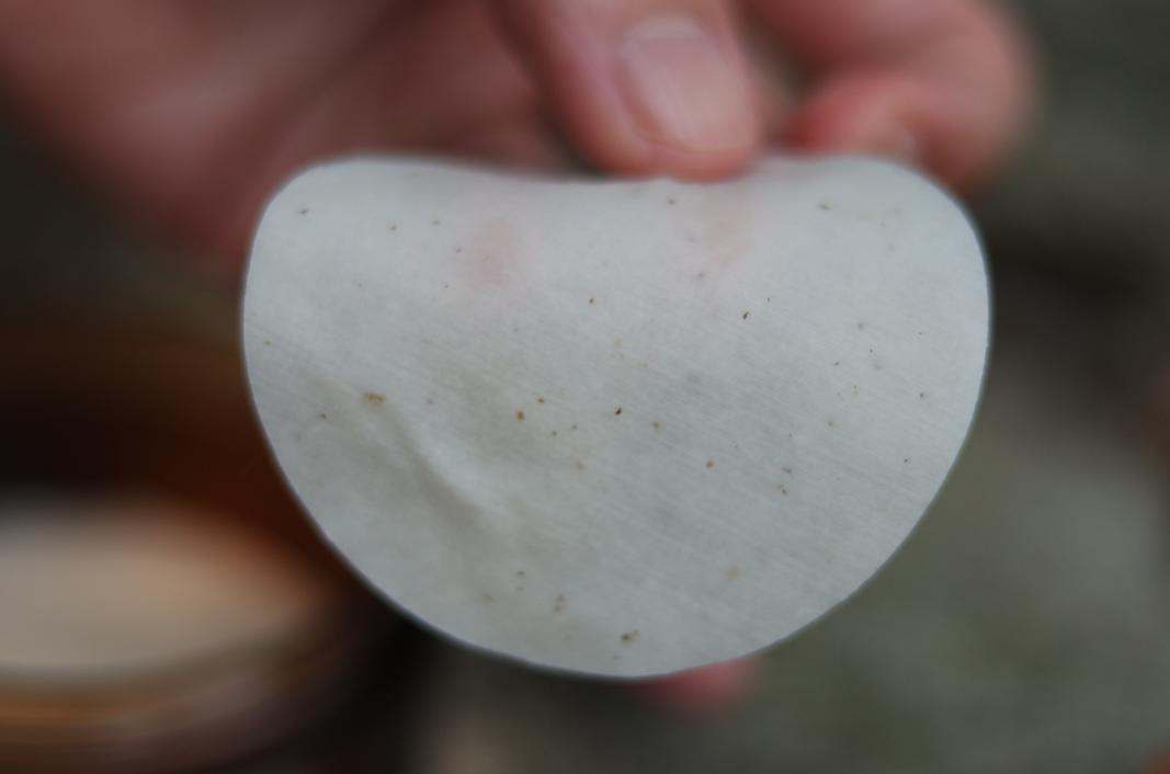 还在用洗面奶、磨砂膏？这款肌肤吸尘器，天然去角质，深度清洁毛孔，用完后整张脸都透气了