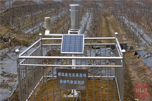 对话183|威远县委书记于进川:做大存量引进增量,再造一个产业威远