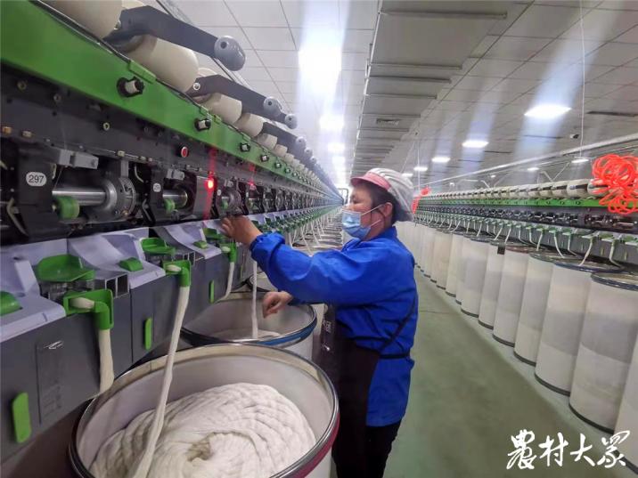 种棉花挣钱吗新疆棉农的年收入,规模种植能增收多少钱