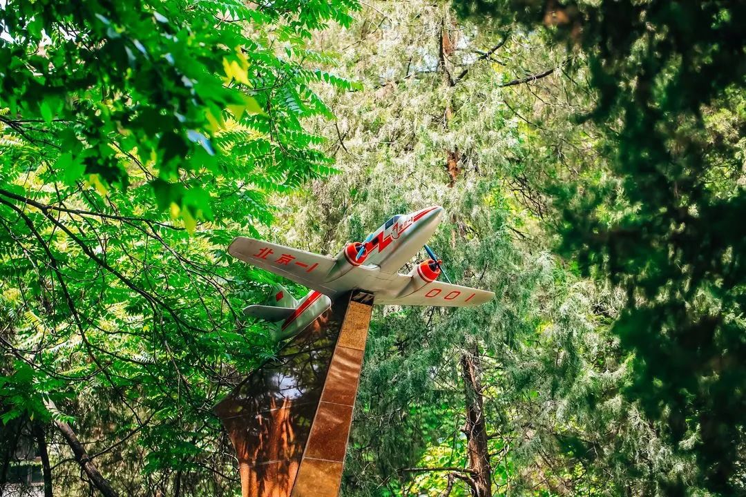 北航2021年各省各专业招生计划,北航2023年各省各专业招生计划