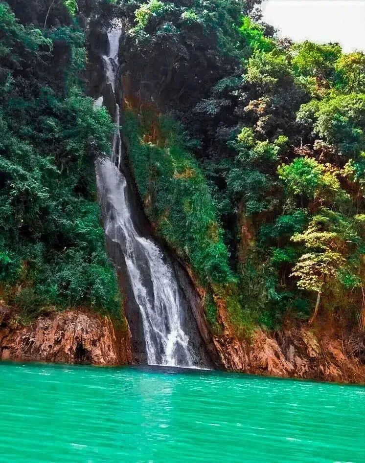 元旦去哪玩？一起去神谷花坝子吧