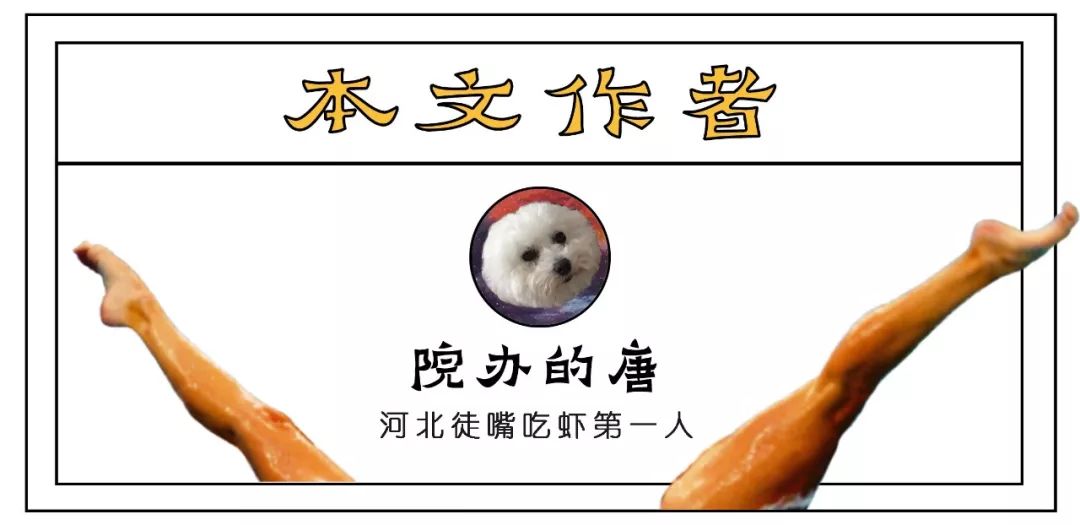 95后生存现状纪录片,95后摇滚少年