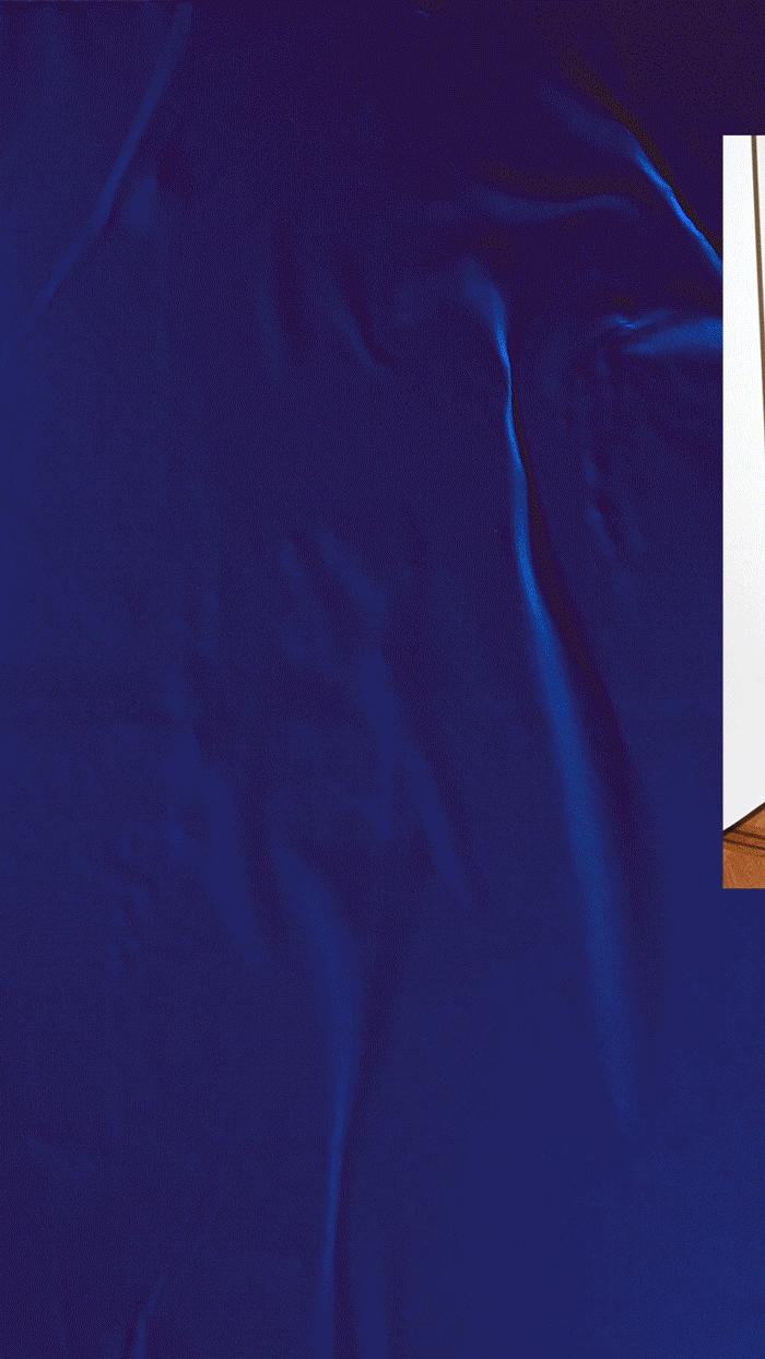 轻奢皮草大衣,高端轻奢皮草大衣