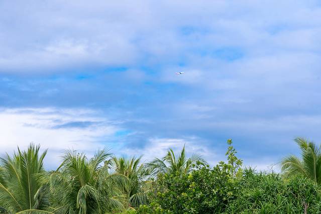 冬天三亚旅游攻略自由行,三亚旅游攻略冬季自由行