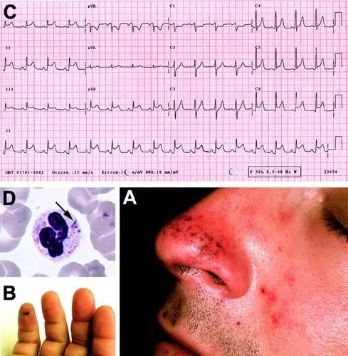 那些年我们遇到的狗狗,那些年我们遇到的狗