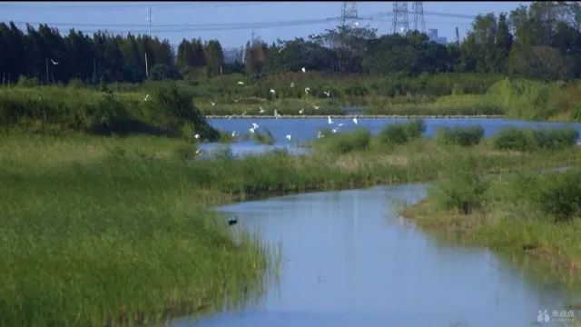 2022年嘉兴市生态环境状况公报,嘉兴市水源地水质全部达标