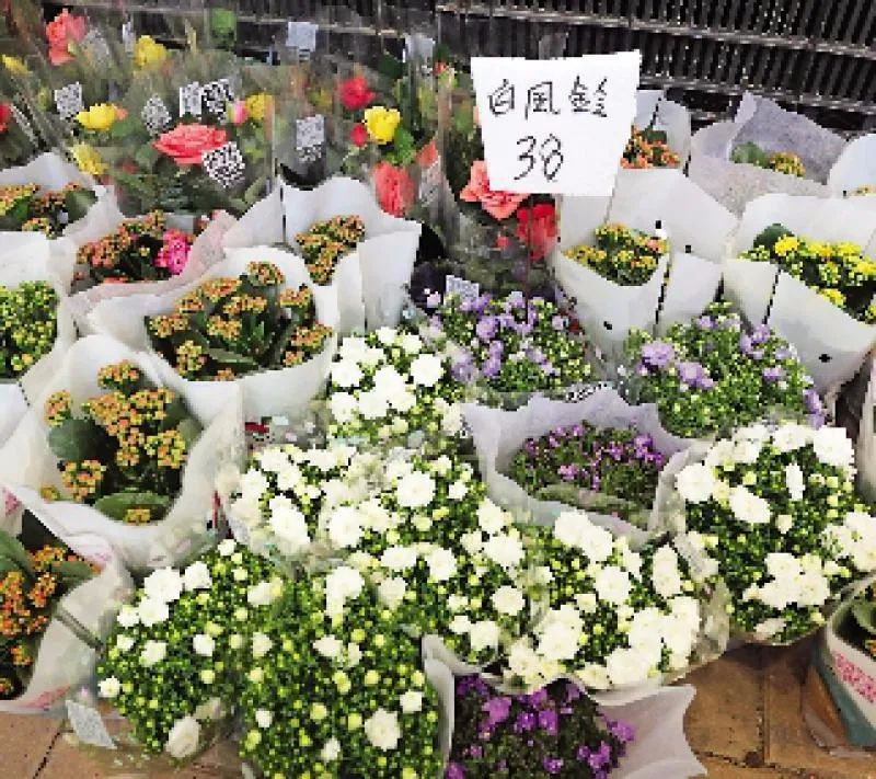 年宵没了花农哭了桃花变废柴