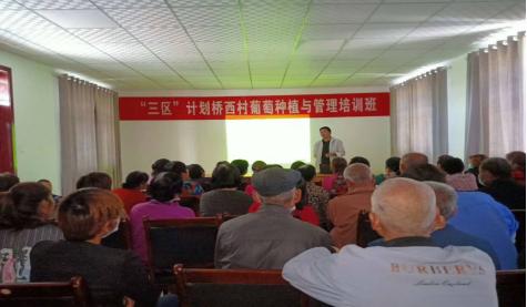 春风暖人心驻村帮扶,扎根基层驻村帮扶