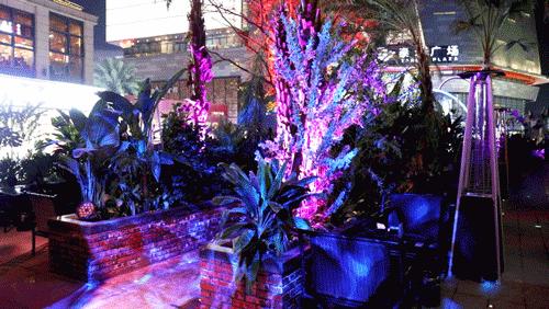 福州东泰禾门店,福州东泰禾开店