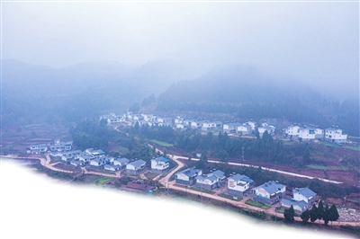 百名记者进百村入百户调研,百名记者进陈仓