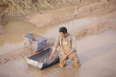 百名记者进百村入百户调研,百名记者进陈仓