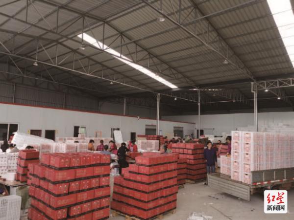 县域农村电商新模式新机遇新挑战,县域农村电商发展十大典型案例