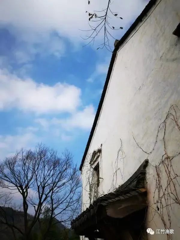 案管，管案，怎样的追风少年？