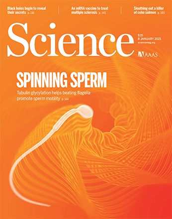 《科学》：精子向前冲的关键发现了！科学家发现，鞭毛甘氨酸化是精子保持直线前进的关键，相关缺陷或与男性不育有关丨科学大发现