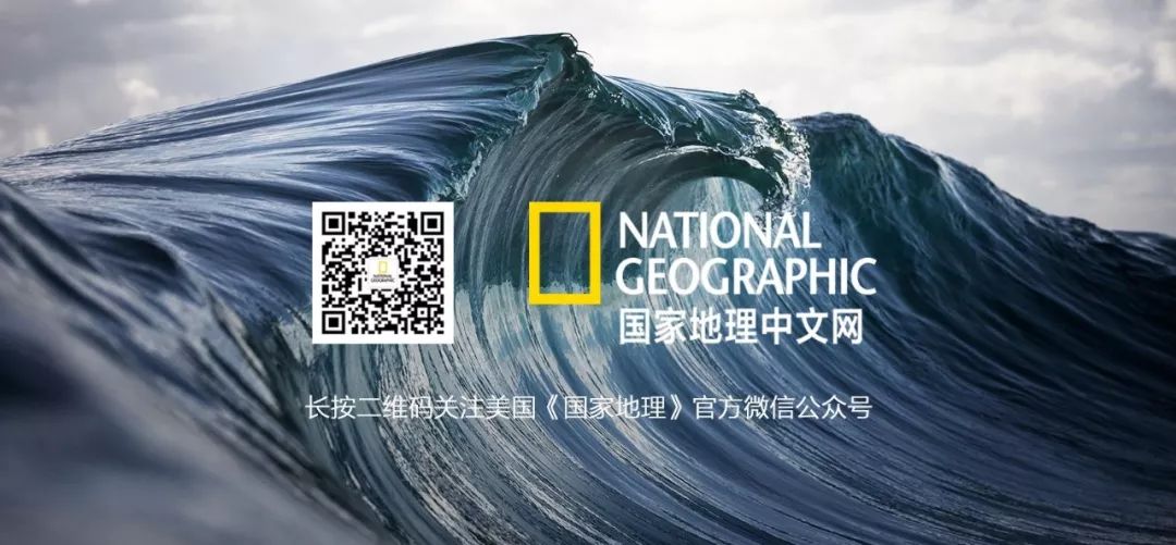 娴疯睔鏈夊瀹夊叏,娴疯睔鍓嶉儴闃叉挒鎻愮ず