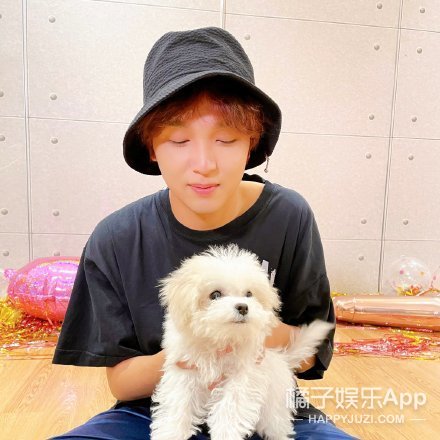 韩式彩虹屁Get！这刻进DNA的比喻基因，论嘴人还得看韩国人