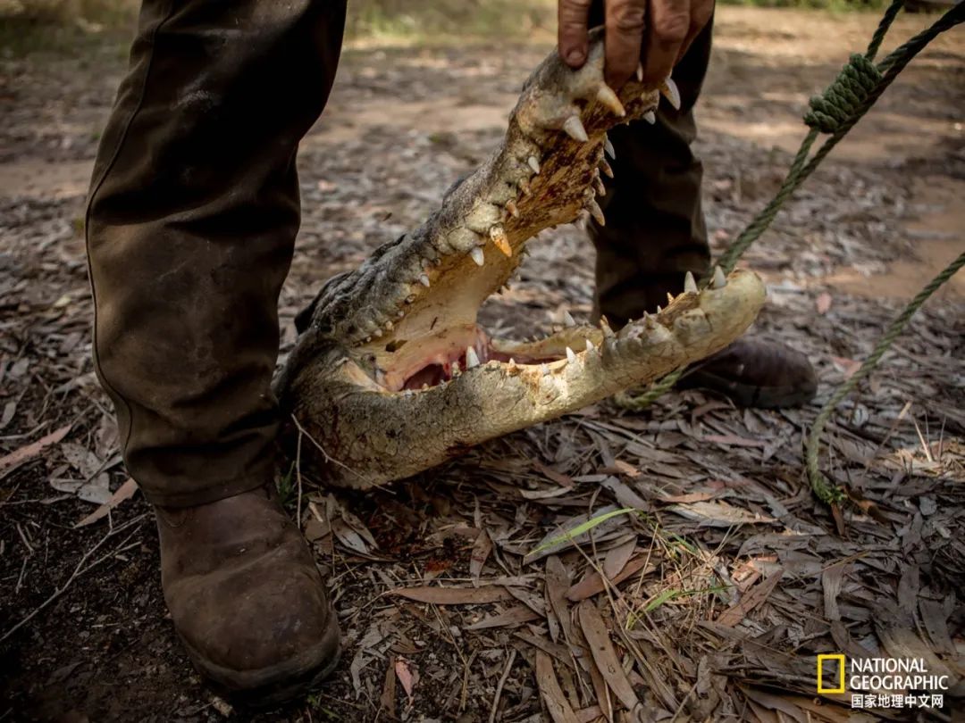 槌勯奔鑱屼笟鐚庝汉,槌勯奔鐚庝汉骞磋柂