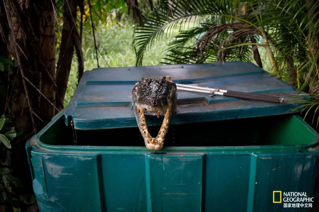 槌勯奔鑱屼笟鐚庝汉,槌勯奔鐚庝汉骞磋柂