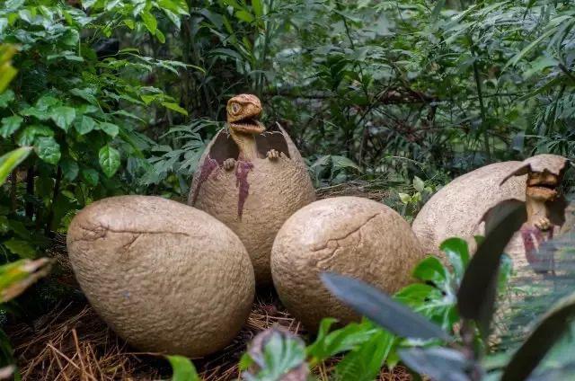 春节不打烊随心玩,内蒙古就地过年