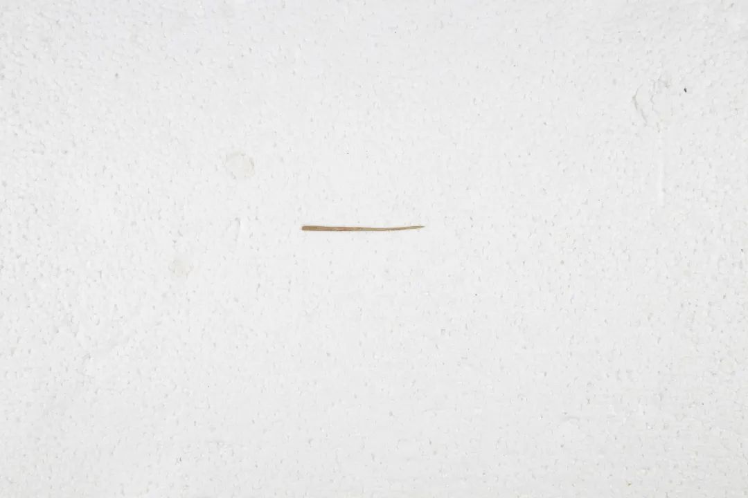 春节好去处旅游推荐,沈阳春节期间游玩攻略2022年