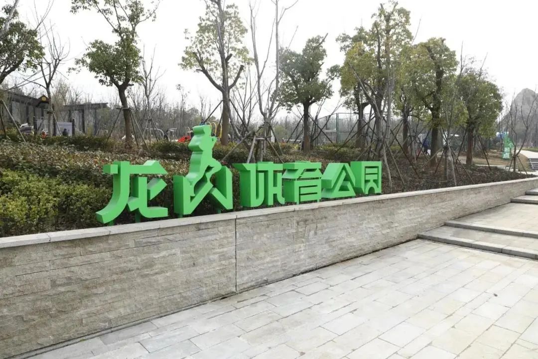 体育公园真人秀,网红体育公园