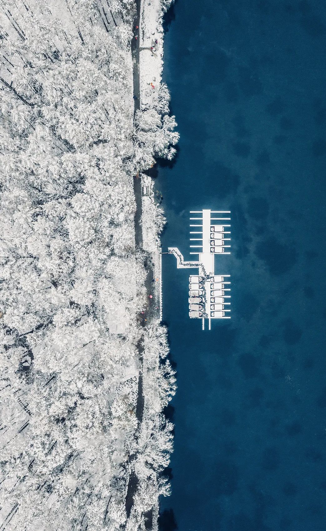 雨水随风润物细无声,随风潜入夜润物细无声老师